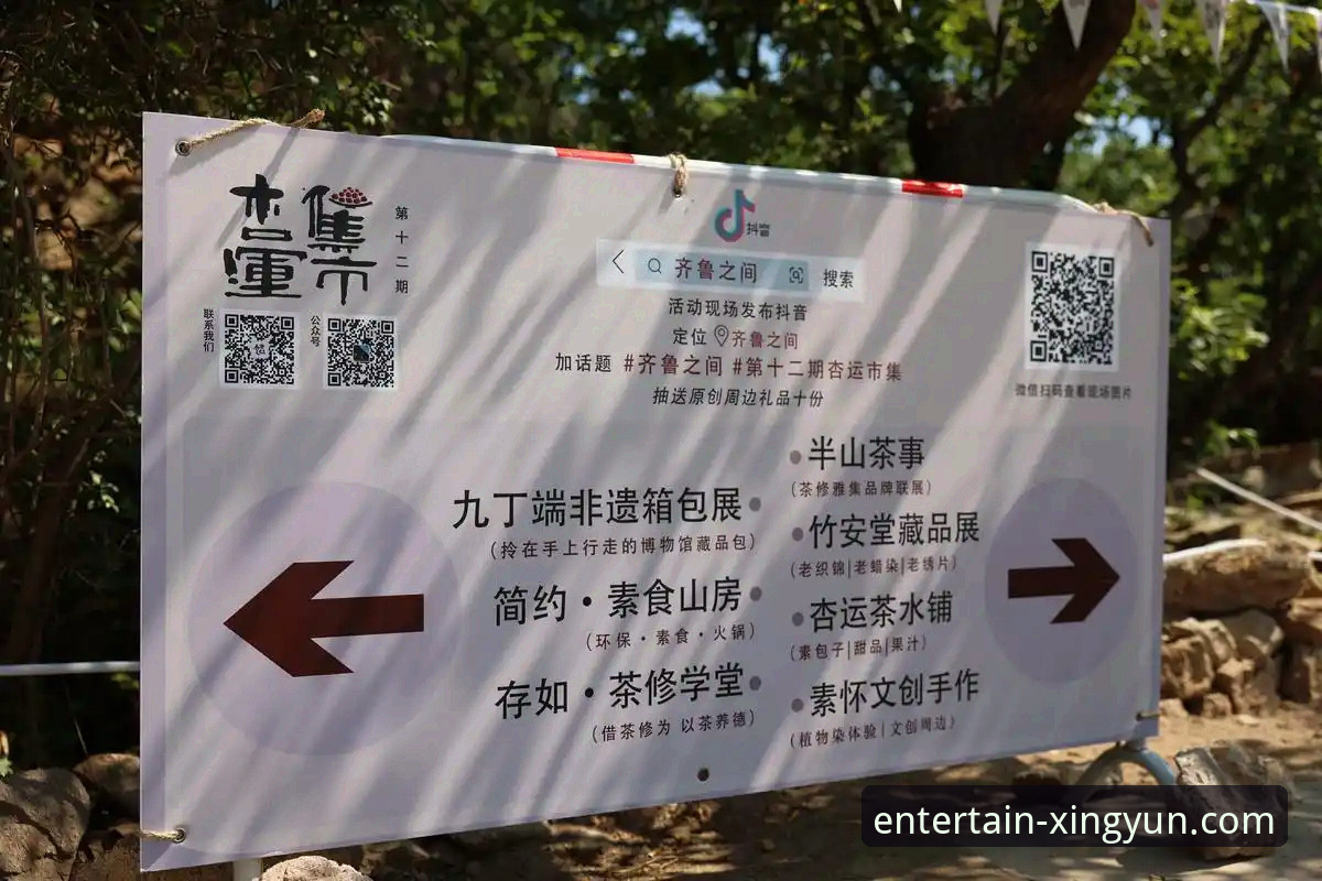 杏运体育账户激活操作教程：从注册到登录的完整流程
